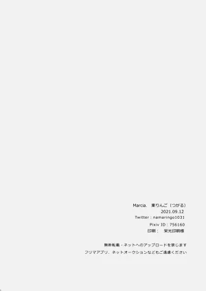 第29頁圖