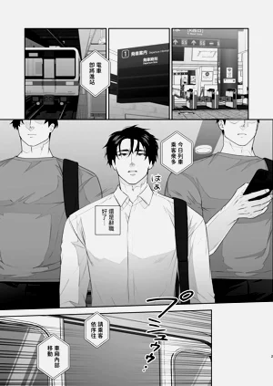 第3页图