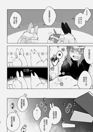 第13页图