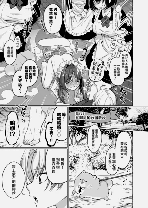 第17页图