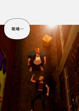 第17页图