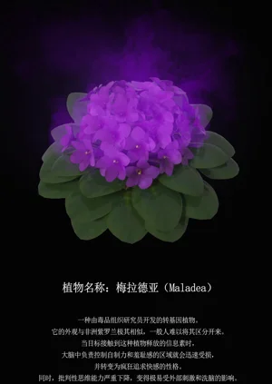 第95页图