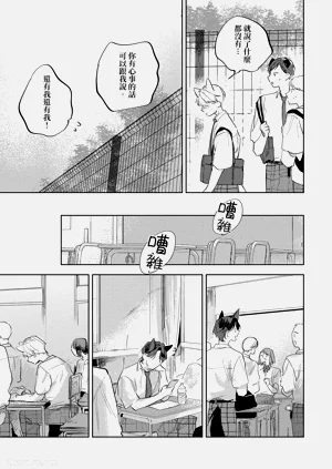 第146页图