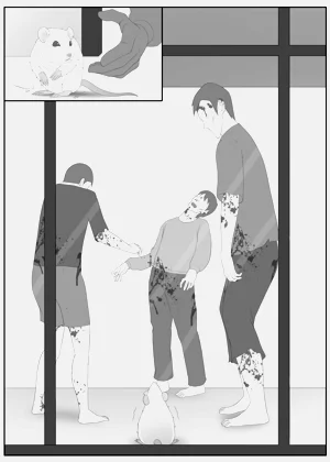 第67頁圖