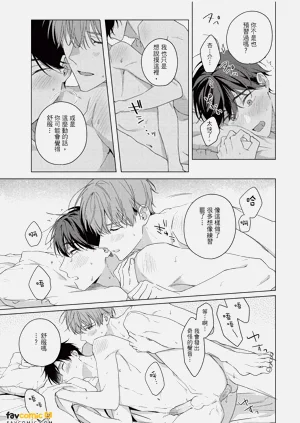 第204頁圖