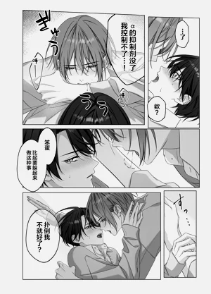 第13页图