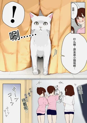 第164頁圖