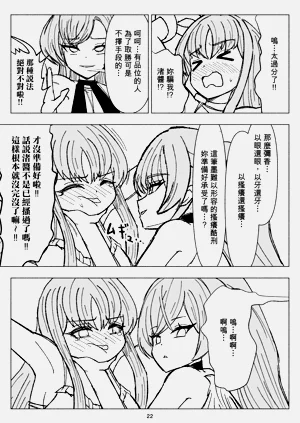 第22頁圖