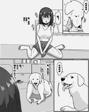 第11页图