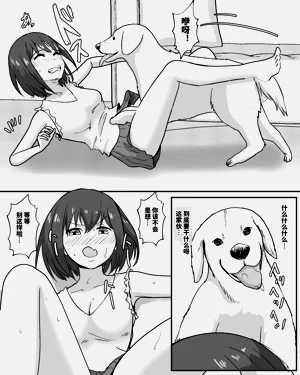 第12页图