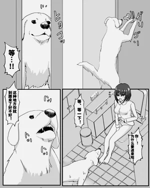 第21页图