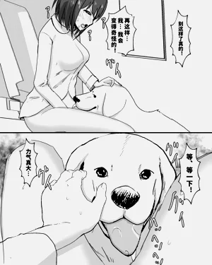 第25页图