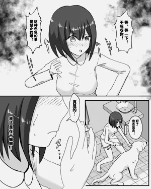 第33页图