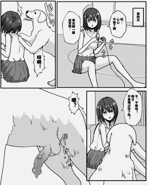 第4页图