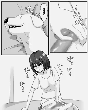 第41页图
