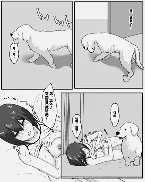 第68页图