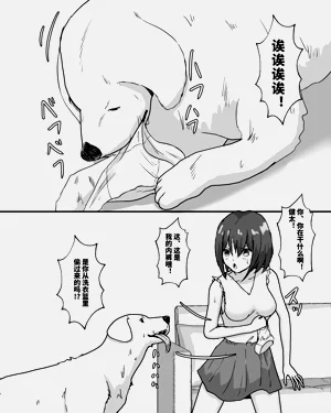 第7页图