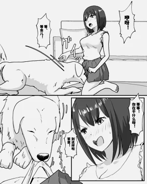 第9页图