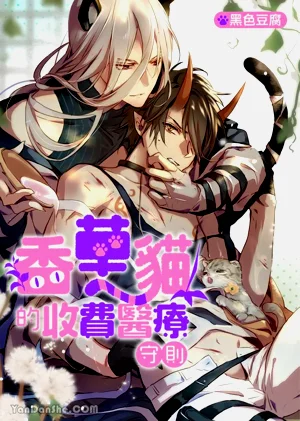 ︱香草猫的收费医疗守则图