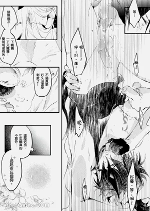第32页图