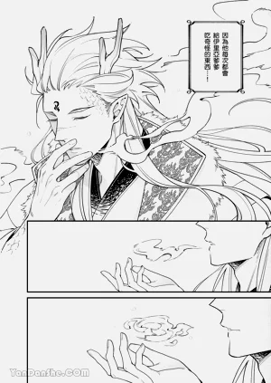 第216页图