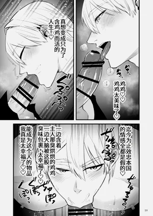 第20页图