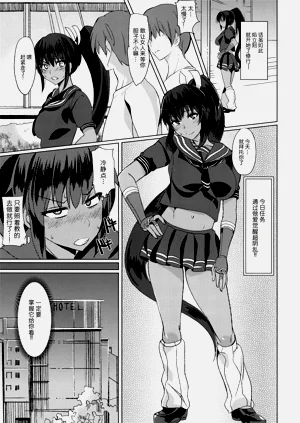 第4页图