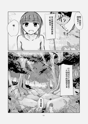 第11頁圖