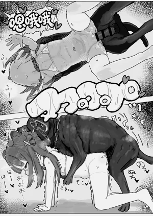 第13页图