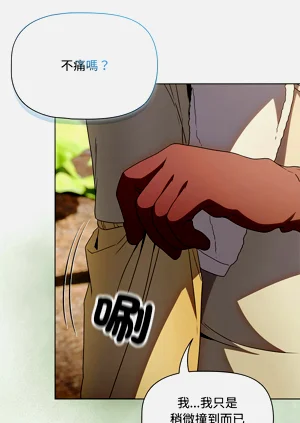 第91页图