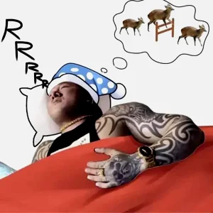 第46页图