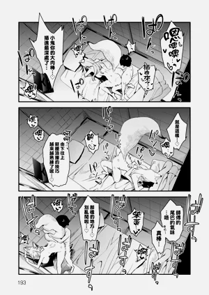 第197页图
