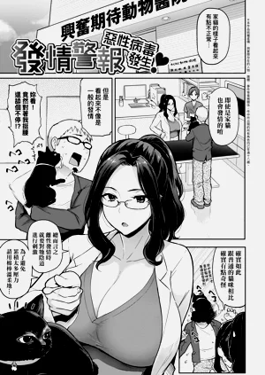 第13页图