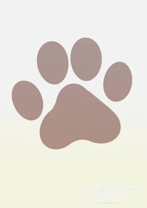 第22页图