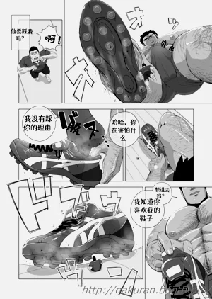 第17页图