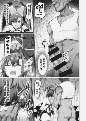 第24页图