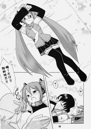 第33页图