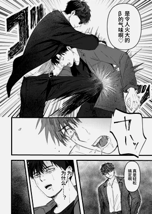 第49頁圖