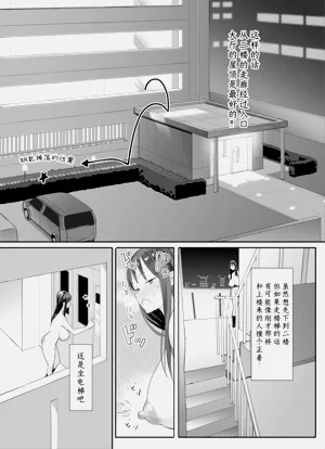 第11页图