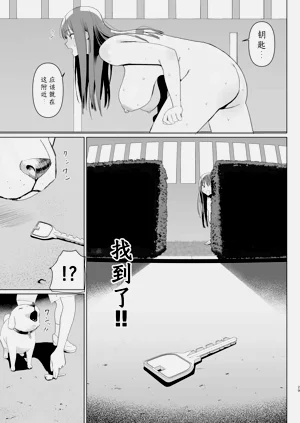 第27页图