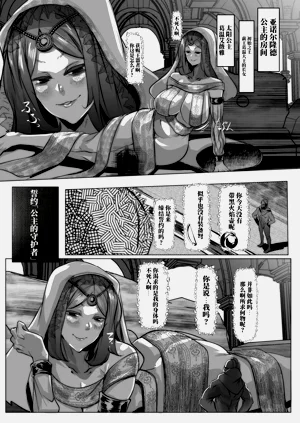 第2页图