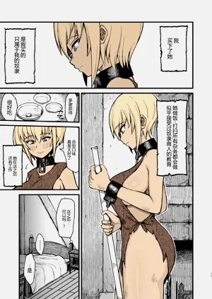 第9页图