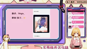 第17页图