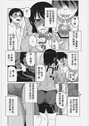 第17页图