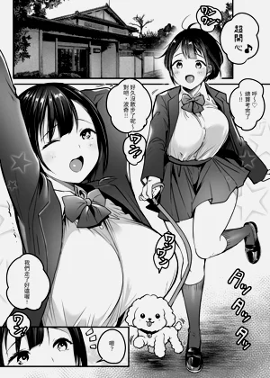 第4页图