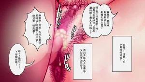 第135頁圖
