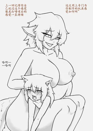 第240页图