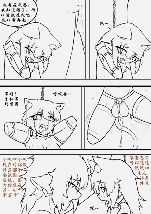 第254页图