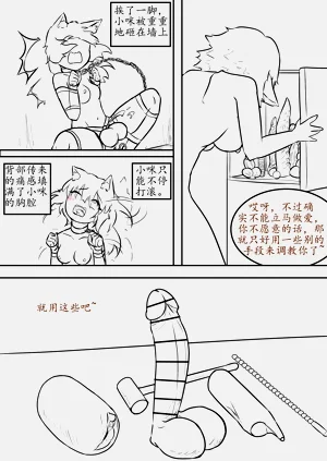 第256页图