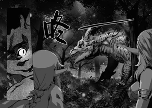 第56頁圖